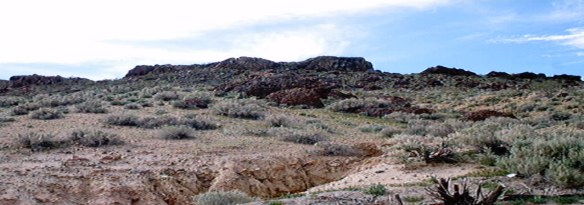 They say that these mountains are full of gold nuggets.